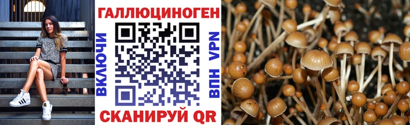 цена наркотик  Болхов  Псилоцибиновые грибы GOLDEN TEACHER 